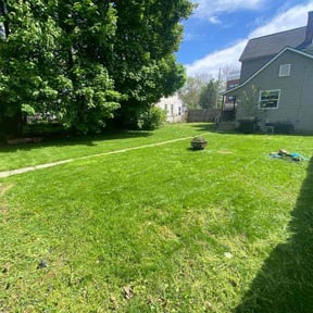 lawn service by Qclawncutter reviewed on April 9, 2024