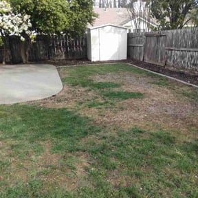 Leaf Removal by GC Lawn Care &amp; Landscaping Services reviewed on March 27, 2024