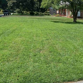 turf maintenance by Richeasouhait, LLC reviewed on June 2, 2025