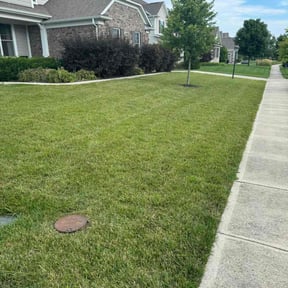 yard maintenance by Daves Lawn Care reviewed on August 19, 2025