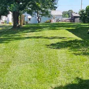 yard service by Legend Property Care LLC reviewed on August 17, 2025
