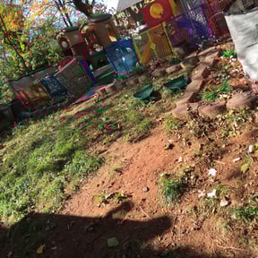 Leaf Removal by Heavenly Landscapes reviewed on September 7, 2025