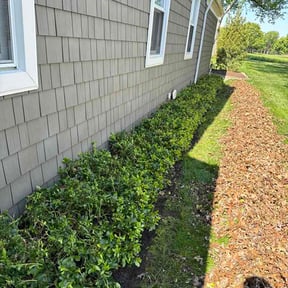 Leaf Removal by Mozelle Lawncare reviewed on May 18, 2026
