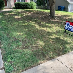 Bush Trimming by James Quality Lawn Care reviewed on August 21, 2025