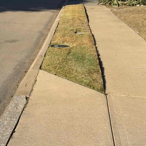 Leaf Removal by It's Done Landscaping and More, LLC reviewed on December 14, 2025