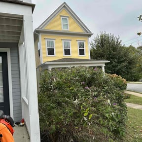 turf maintenance by Binyard Consulting reviewed on August 15, 2025