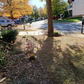 Leaf Removal by Home Endeavors llc reviewed on August 14, 2025