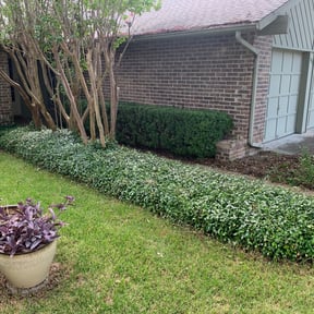 Bush Trimming by Green Clips Lawn Care LLC reviewed on August 21, 2025