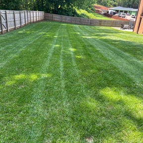 residential landscaping by Grass Care By the Beach reviewed on August 17, 2025