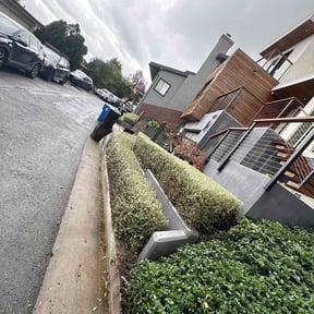 Bush Trimming by Y and J Landscaping reviewed on April 21, 2025