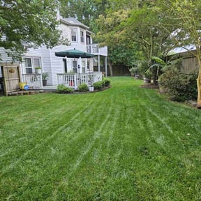 landscaping services by SLD Affordable Lawn and Contracting Services reviewed on November 24, 2025