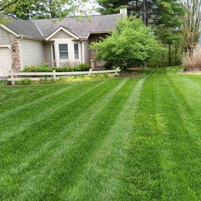 grass maintenance by Lawn Care Solutions reviewed on November 9, 2017