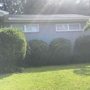 Bush Trimming by Generation Handy LLC reviewed on August 16, 2025