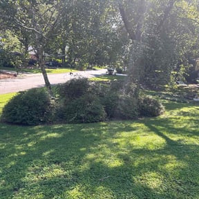 Bush Trimming by Myers Landscaping &amp; Hauling reviewed on October 19, 2025