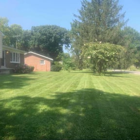 turf care by TwalightScaping reviewed on April 28, 2025