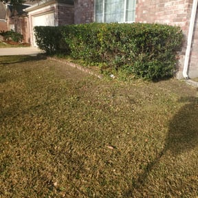 Bush Trimming by Family Roots Lawn Care reviewed on August 19, 2025