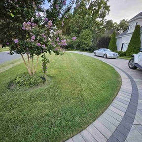 yard service by M&amp;M Lansdcaping reviewed on December 14, 2025