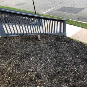 Bush Trimming by Brian B&#039;s Lawn Care reviewed on November 21, 2025