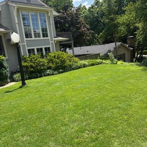 yard work by TAJA Design and Build reviewed on August 21, 2025