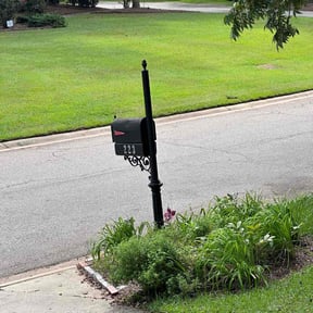 Leaf Removal by Lawn Ace lawn care reviewed on October 1, 2025