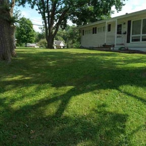 residential landscaping by 4 You Landscaping LLC reviewed on March 29, 2025