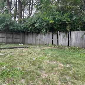 Bush Trimming by Isaiah's Custom Cutz reviewed on June 21, 2026