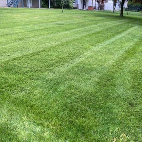 residential landscaping by ill Mentality Inc reviewed on August 21, 2025