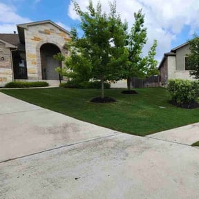 landscaping by Wildflower Lawn Care Company reviewed on December 10, 2025