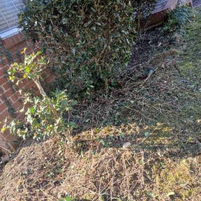 Flower Bed Weeding by North West forest recycling llc reviewed on December 2, 2025