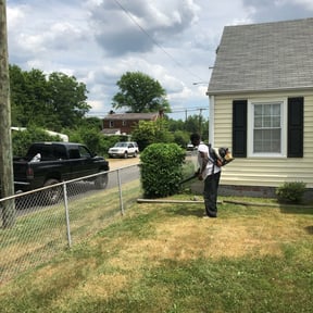 Bush Trimming by A & F Landscaping reviewed on August 17, 2025