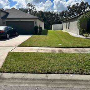 lawn care by DealzAndStealz reviewed on August 19, 2025