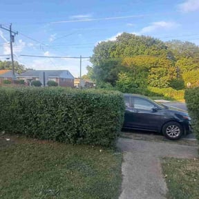 Bush Trimming by Gus lawn's reviewed on August 17, 2025
