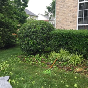 Bush Trimming by Diego Mojica Lawn Care reviewed on May 8, 2024
