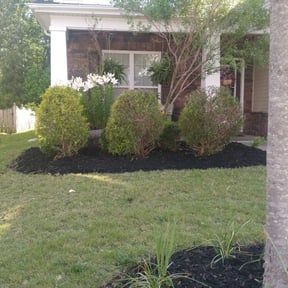 Bush Trimming by Lawn Expressions reviewed on August 19, 2025