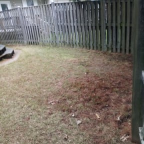 Leaf Removal by Coral Leaf Landscaping reviewed on August 18, 2025