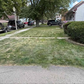 Bush Trimming by jerrys lawns  service reviewed on March 28, 2022