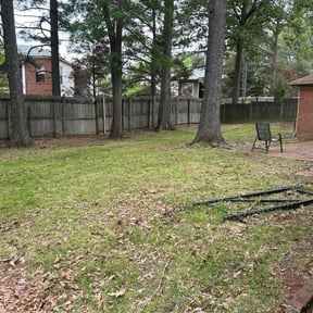 Bush Trimming by Littleton Lawn Care reviewed on August 16, 2025