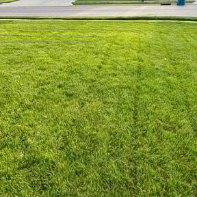 landscape maintenance by Verde Lawn and Property Management reviewed on August 16, 2025