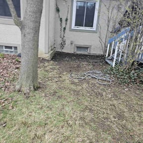 Leaf Removal by Fresh Cuts Lawn Care reviewed on September 17, 2025