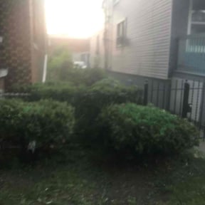 Bush Trimming by Chek'Rd Lawn Service reviewed on August 21, 2025