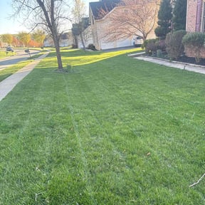 lawn care services by Stan's Lawns reviewed on July 30, 2025