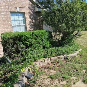 Bush Trimming by Nicoscapes reviewed on April 1, 2026