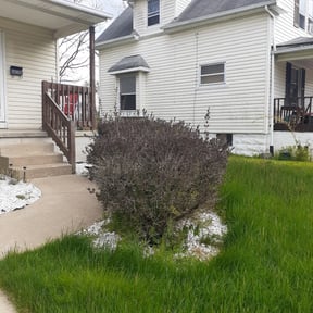 Bush Trimming by Cut'em UP Lawn Services reviewed on August 17, 2025