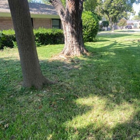 Bush Trimming by T &amp;O Landscape Service LLC reviewed on July 27, 2023