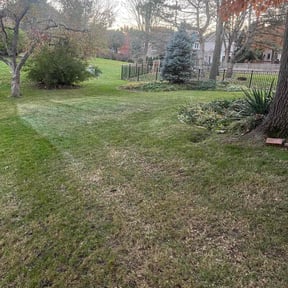 Leaf Removal by Abney's lawncare reviewed on August 15, 2025