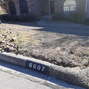 Bush Trimming by Tri Stars landscaping and Snow Services LLC reviewed on August 21, 2025