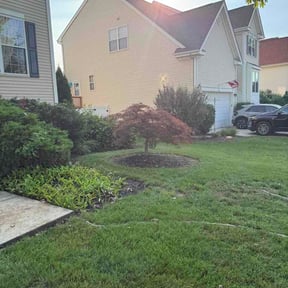 Flower Bed Weeding by GREAT LAWN SERVICE LLC reviewed on July 16, 2026