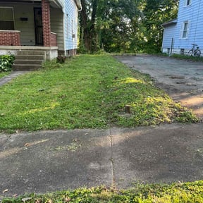 turf care by Snipes Construction Company LLC reviewed on September 12, 2024