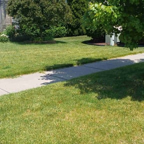 landscape maintenance by J&D's Lawn service reviewed on August 19, 2025