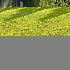 yard service by Slick Lawns reviewed on August 15, 2025